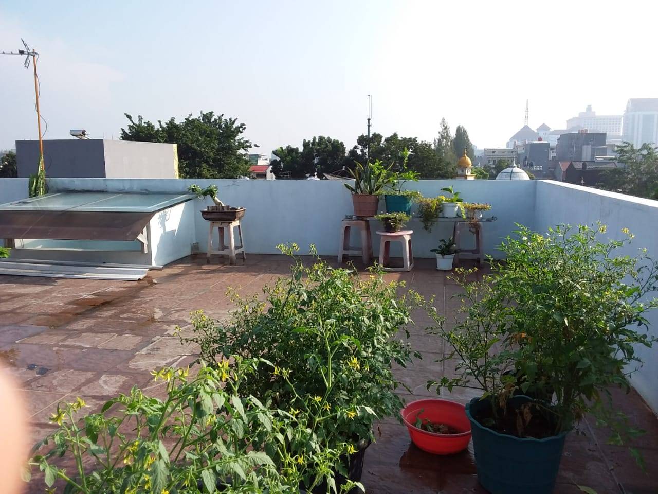 Foto 3