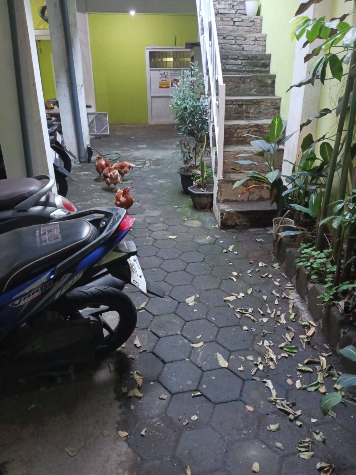 Foto 1