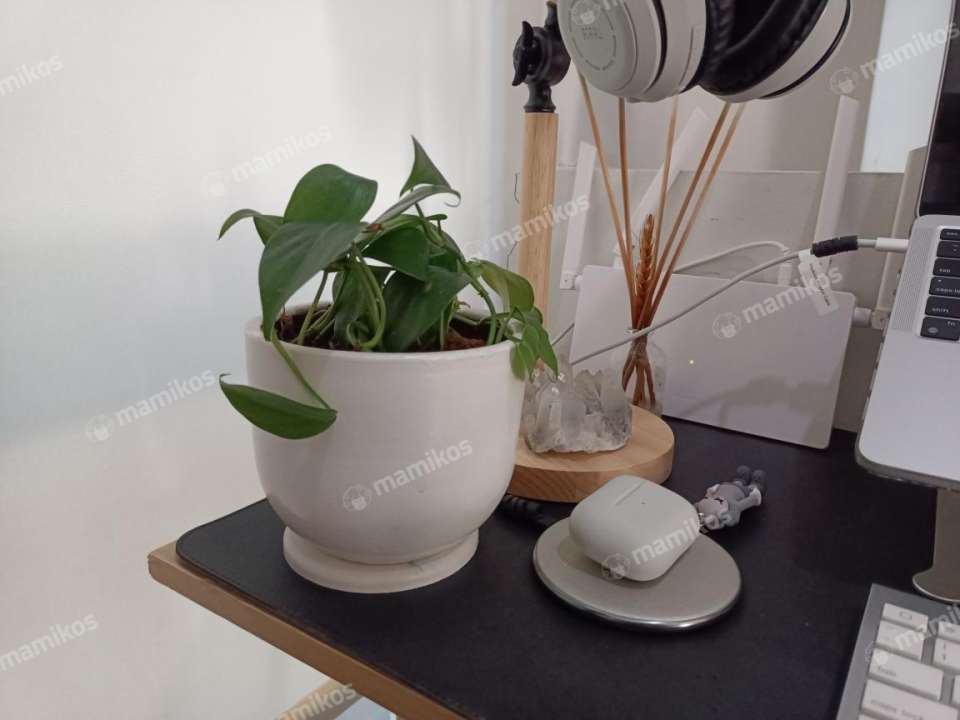 Kos Test Product Design PMAN