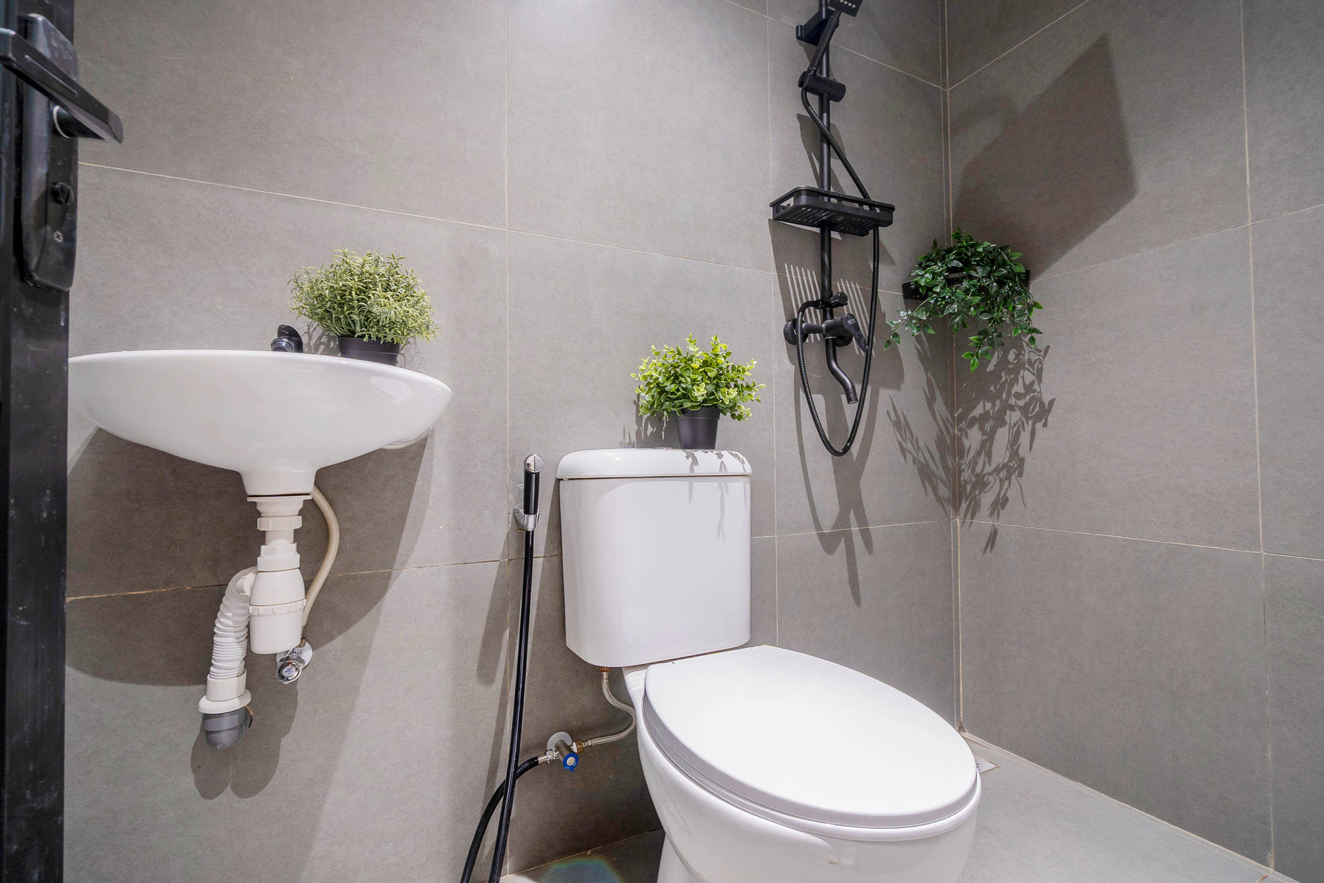 asset thumbnail 5