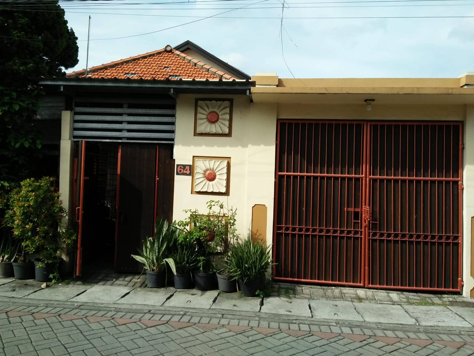 Foto 2