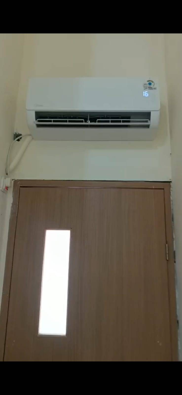 Anggrek 