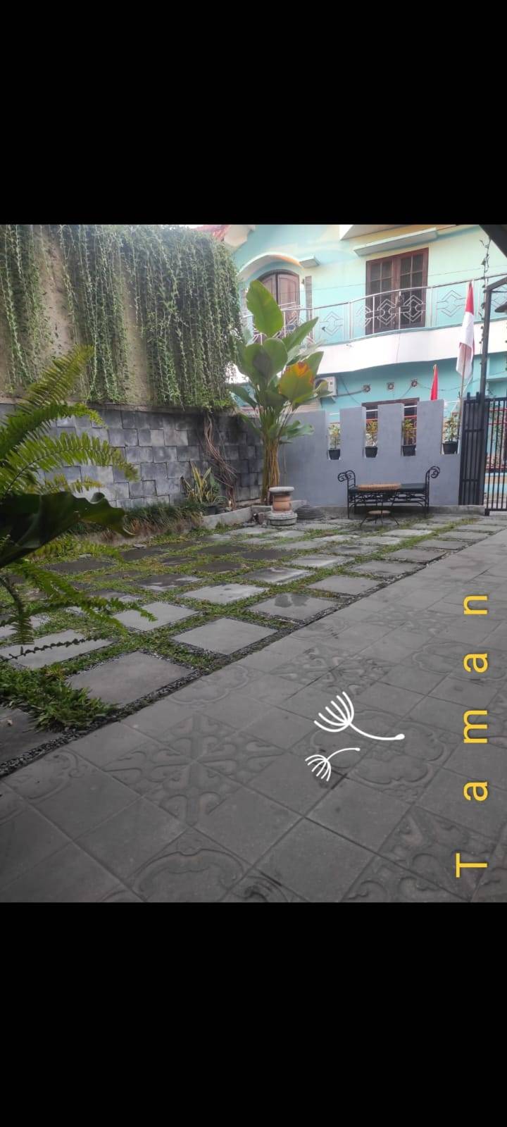 Foto 5