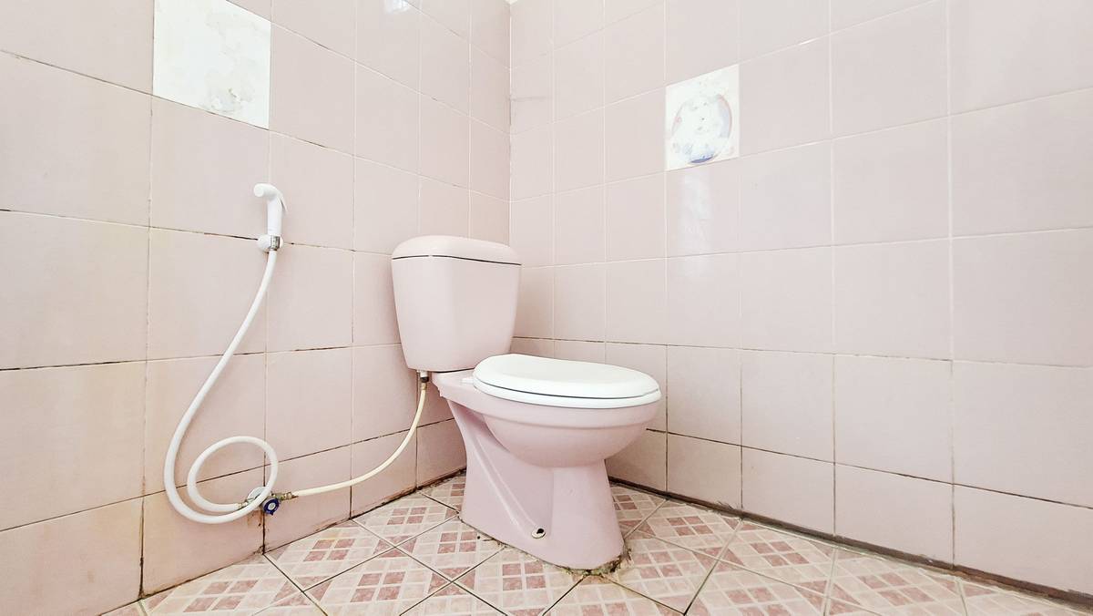 asset thumbnail 5