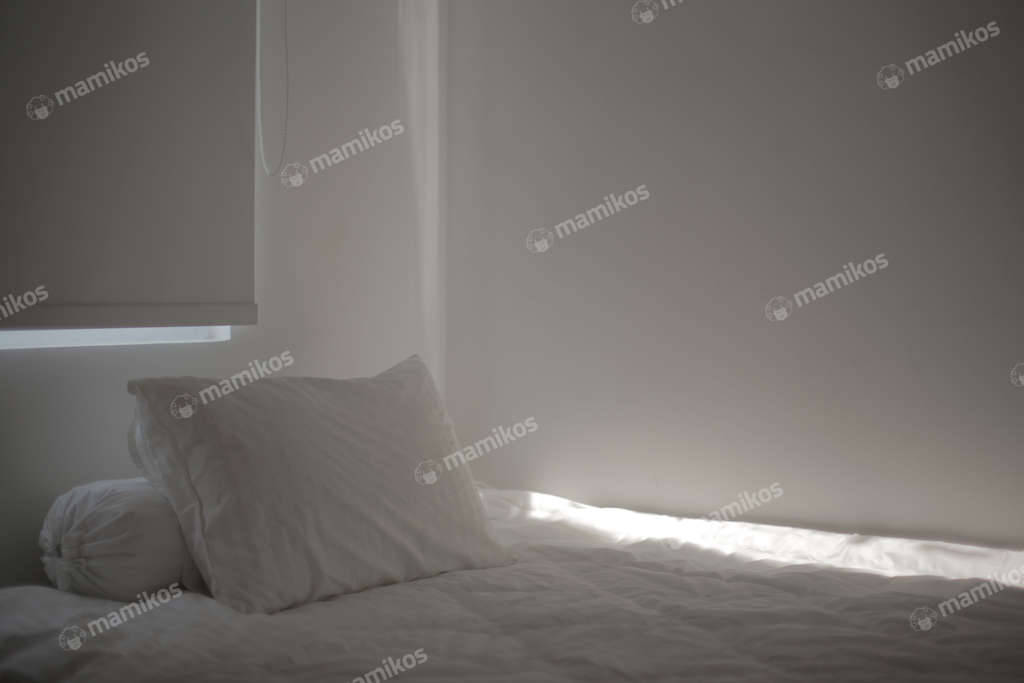 Kost Fachiriques BSD Studento L18 Mezzanine Pagedangan Tangerang