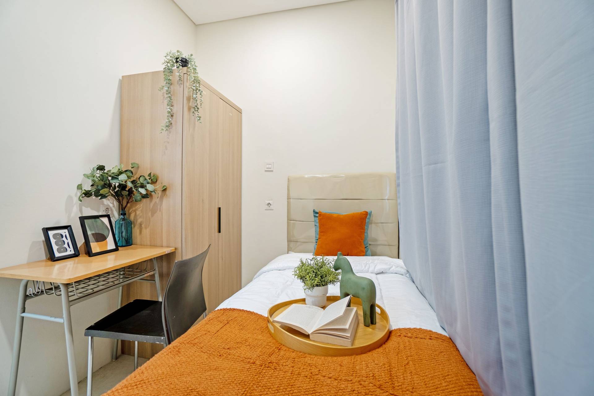asset thumbnail 2