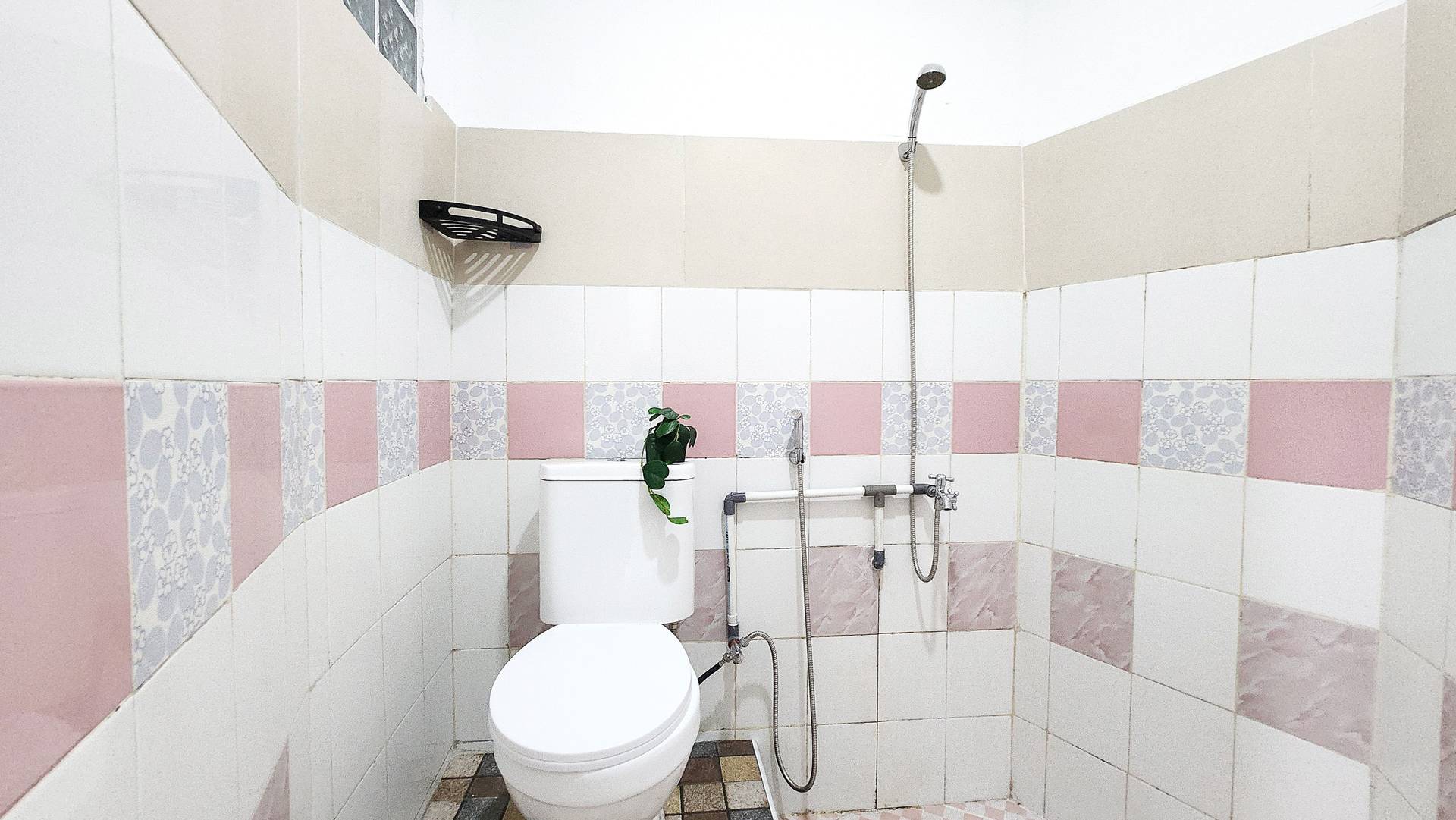 asset thumbnail 5