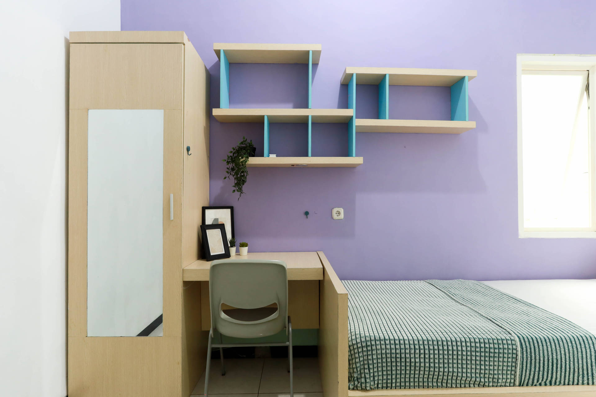 asset thumbnail 1