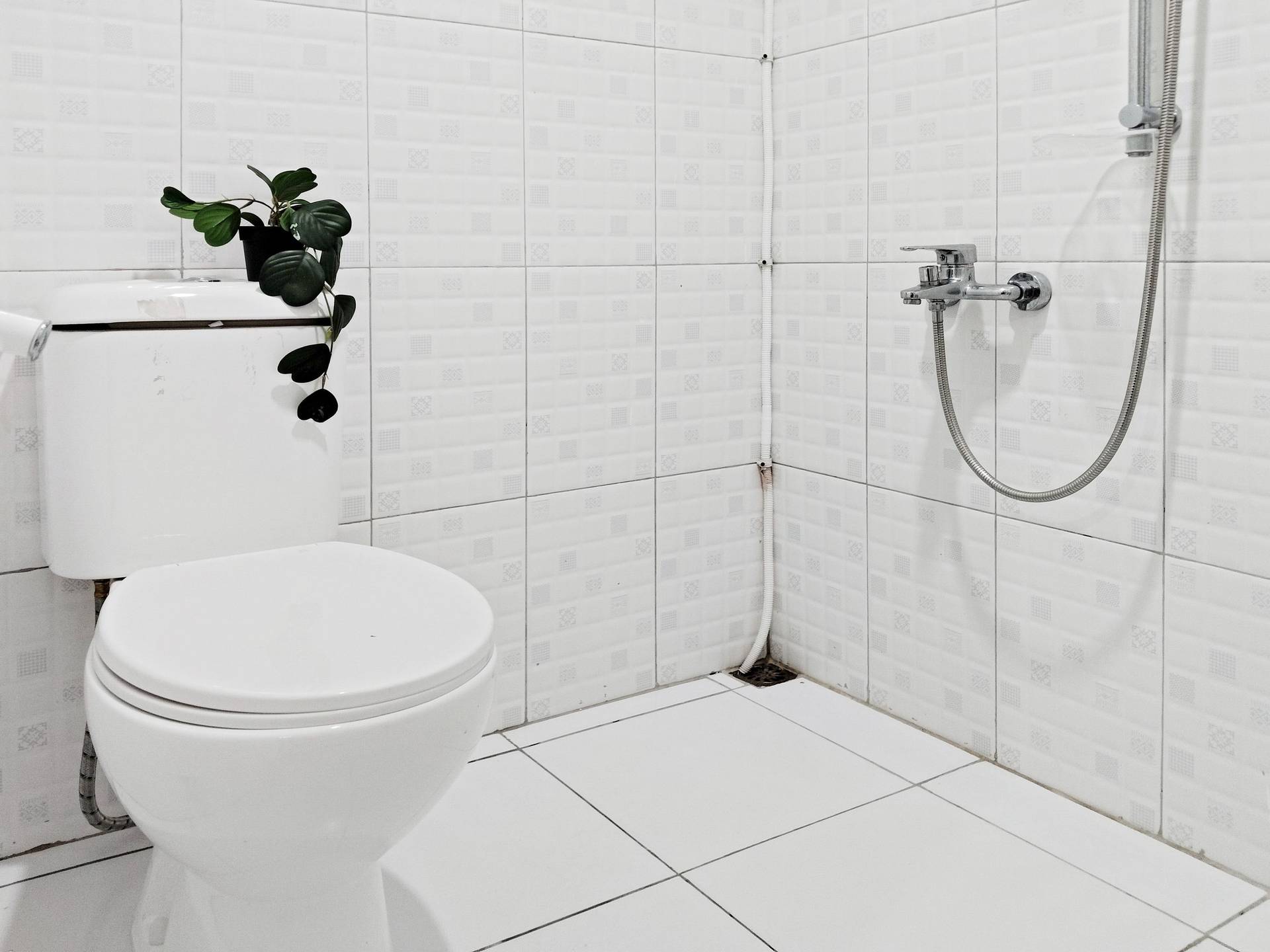 asset thumbnail 8