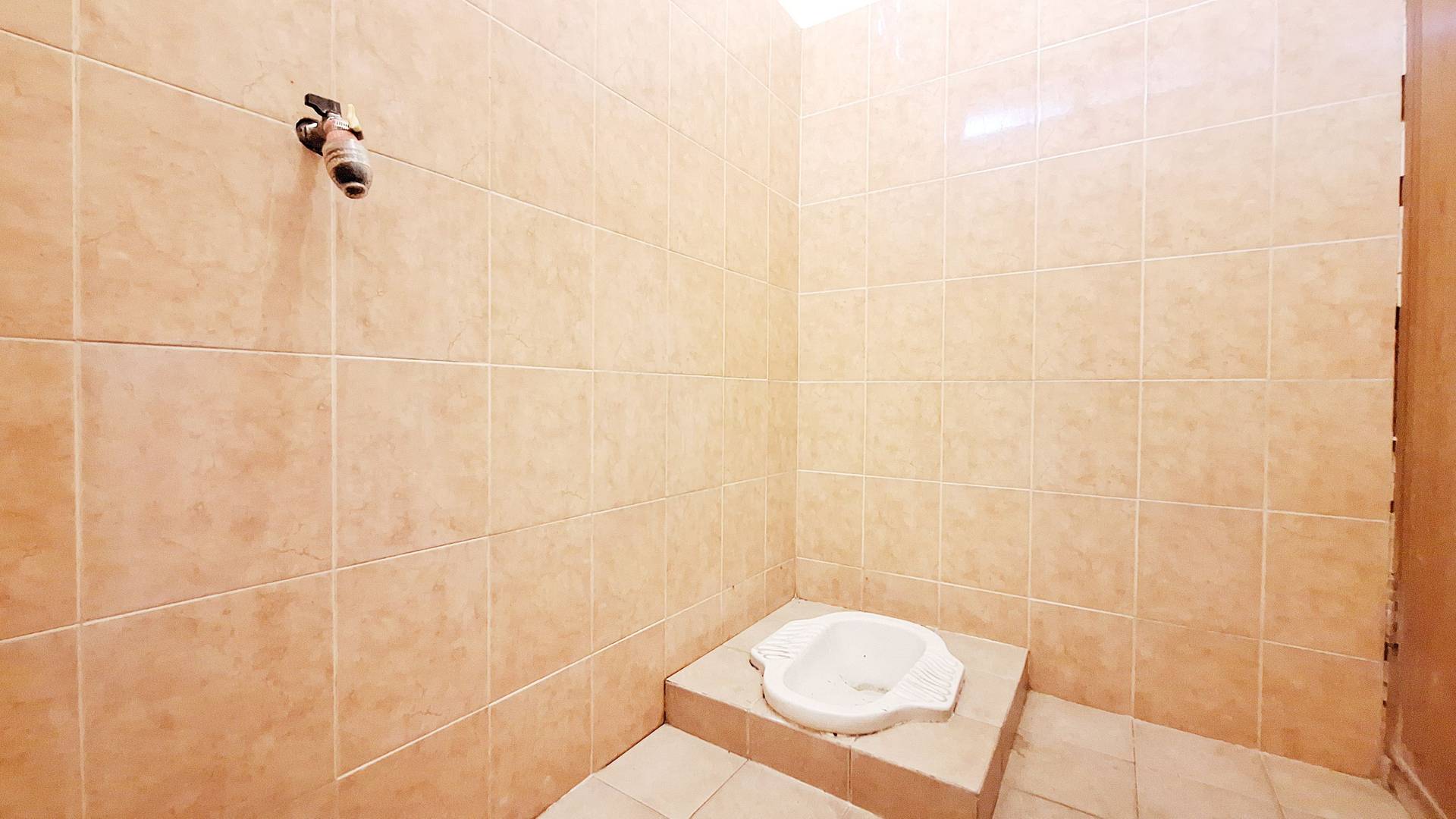 asset thumbnail 6