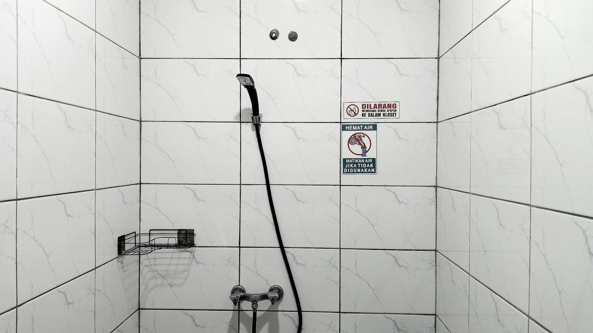asset thumbnail 4