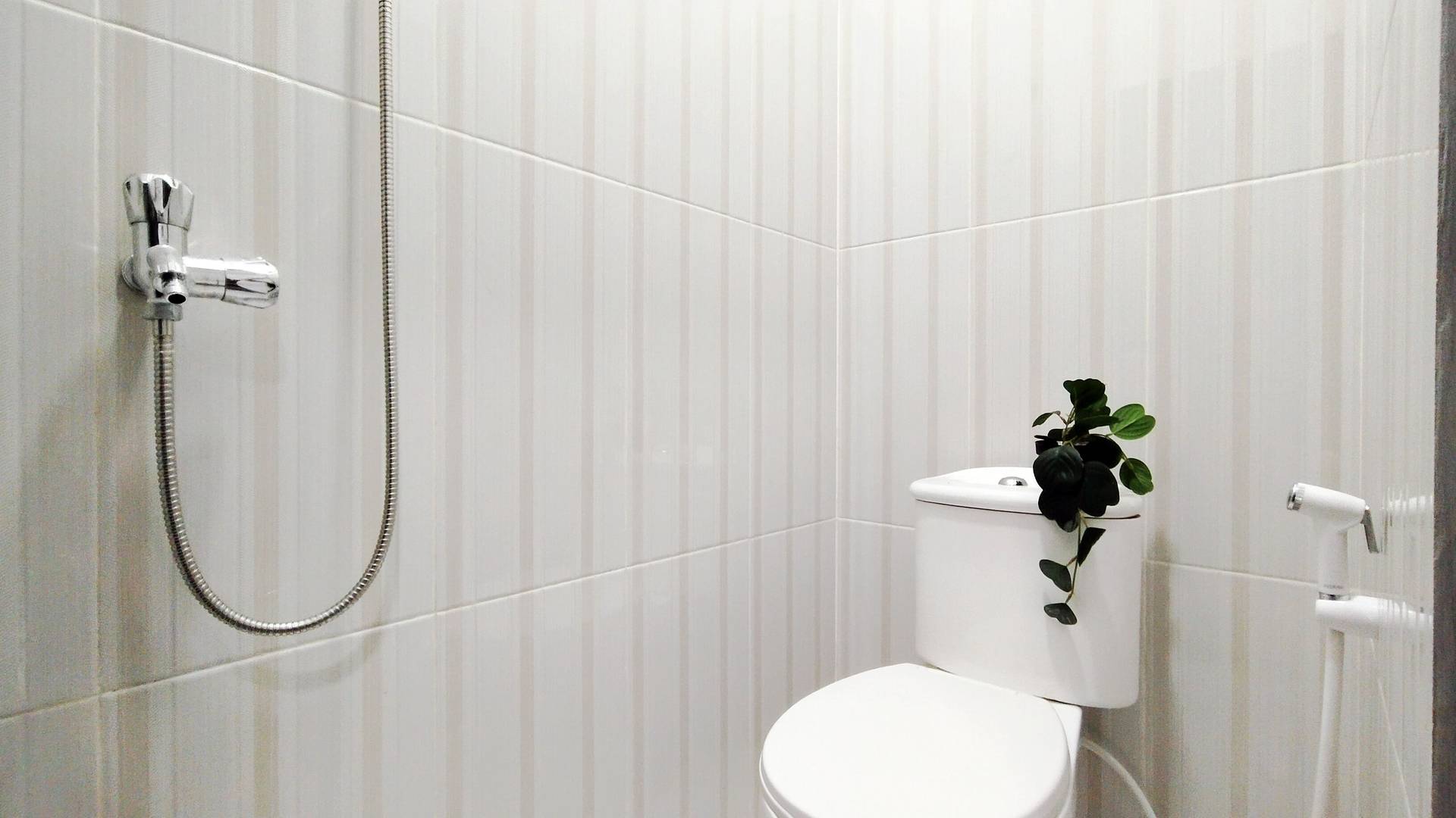 asset thumbnail 4