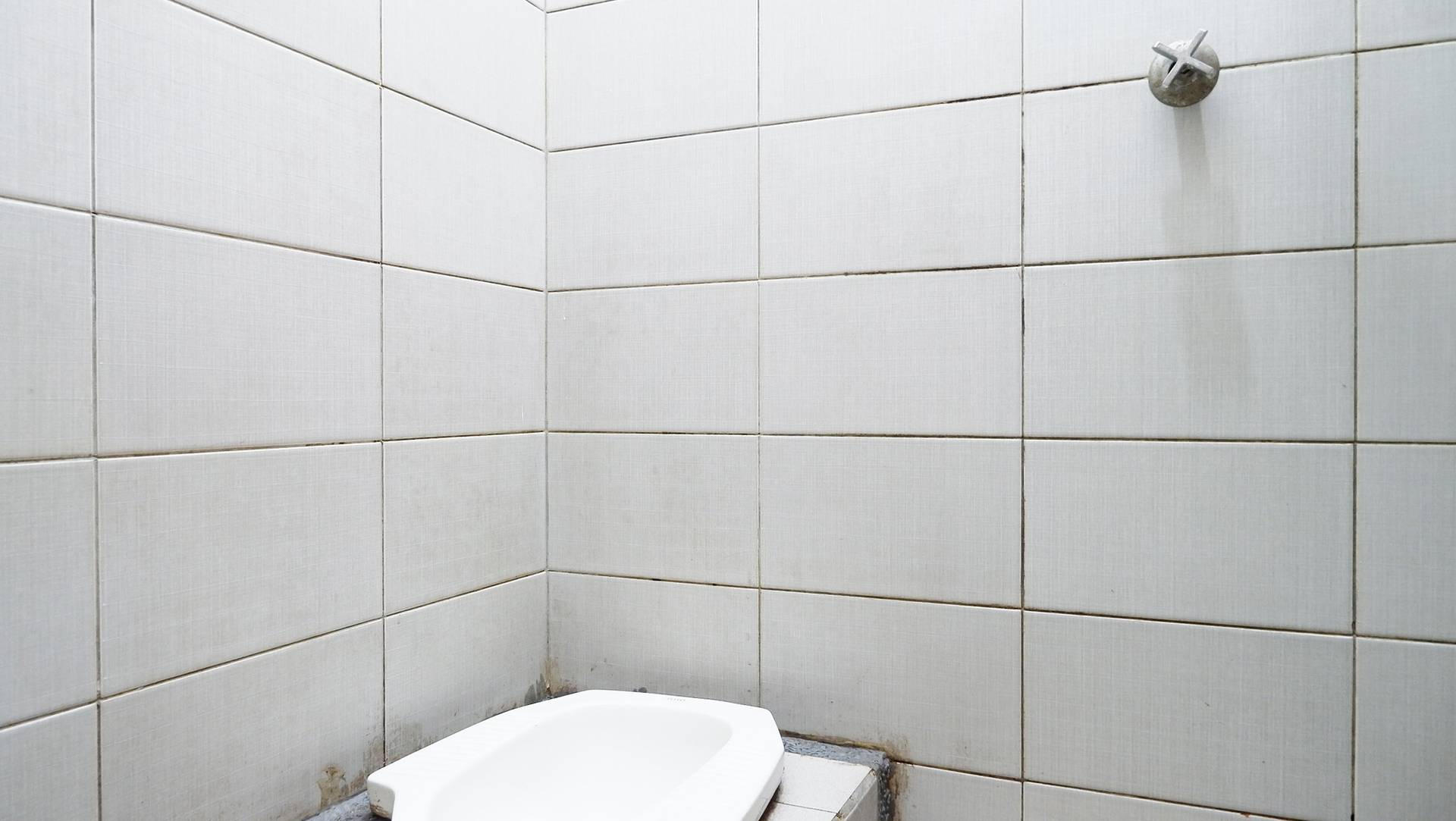 asset thumbnail 3