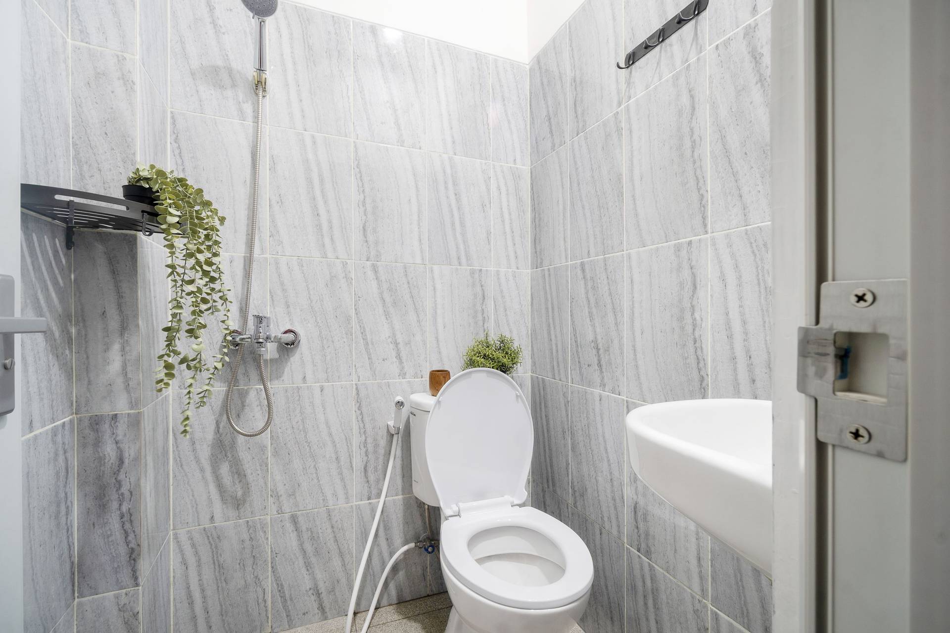 asset thumbnail 4