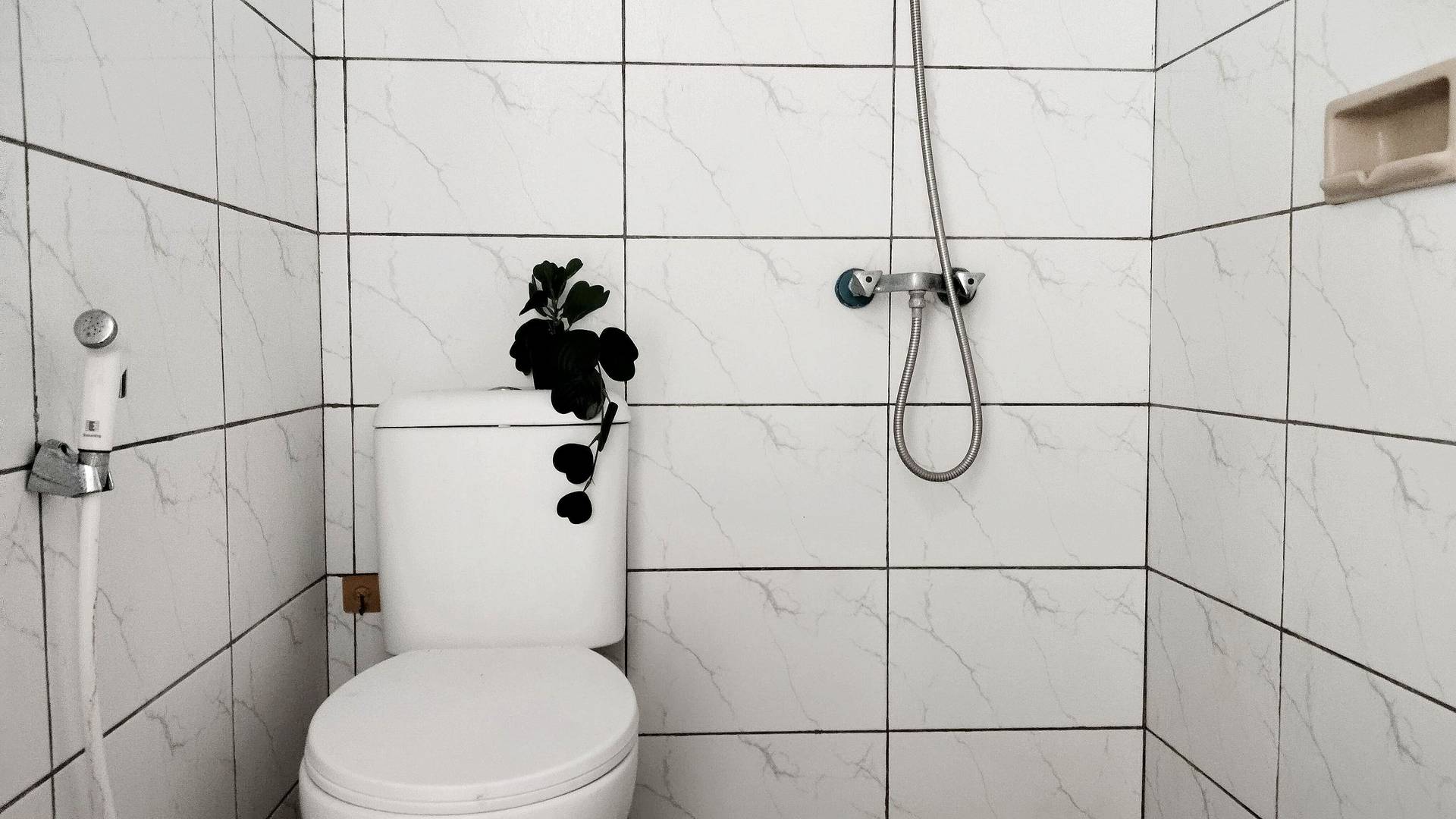 asset thumbnail 3