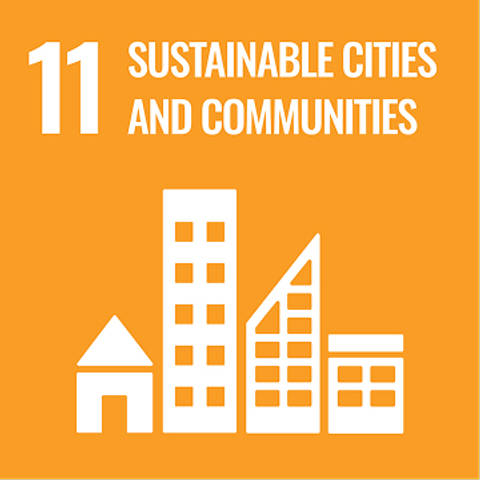 SDG 11 Logo